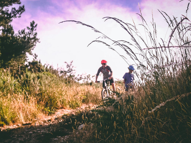 Winter Park Cycles