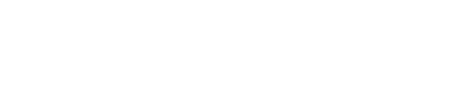 Raceline Wheels